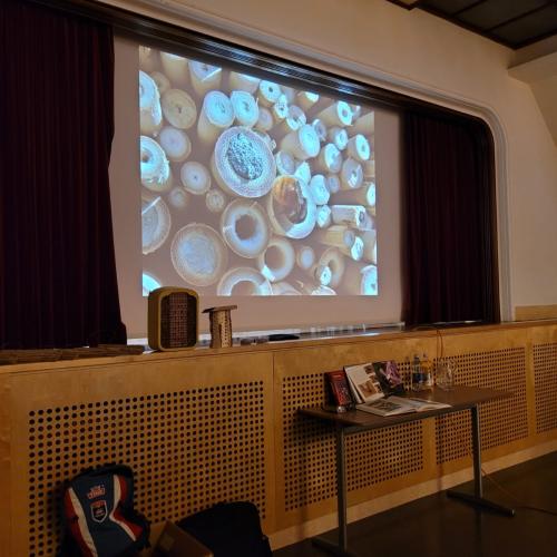 Bienen