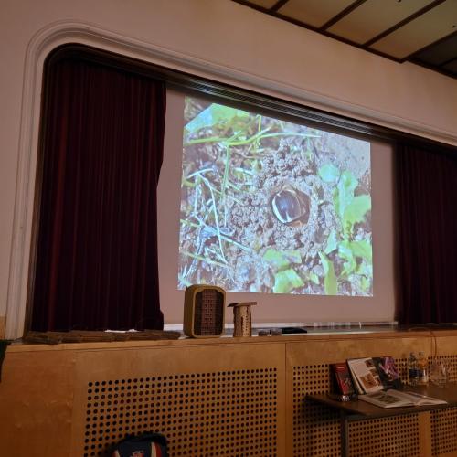 Bienen