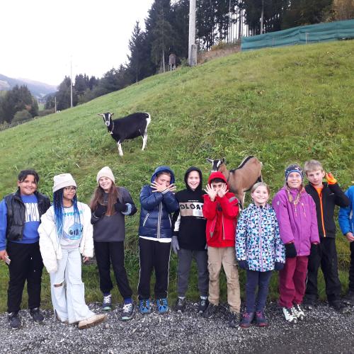 Kennenlerntage