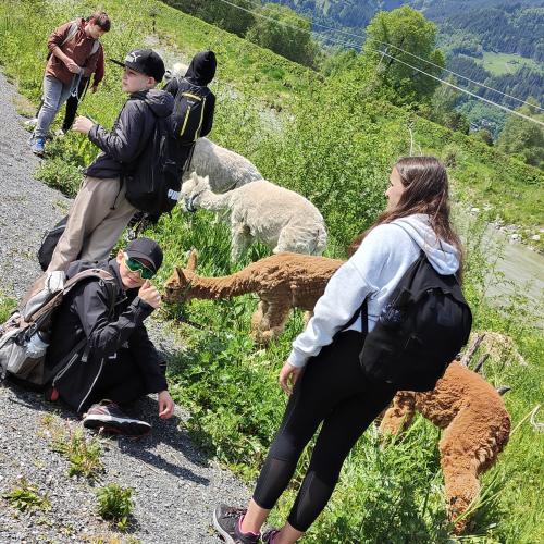 2ac_Zell am See