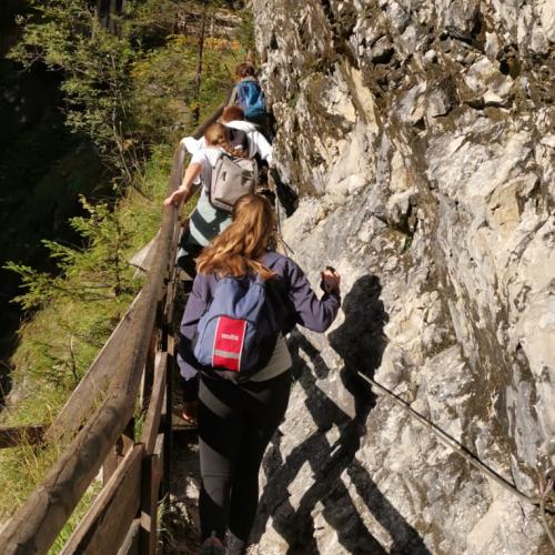 Herbst-Wandertag 2023
