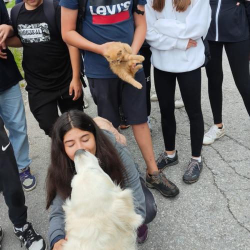 Abschluss_Juli_2024