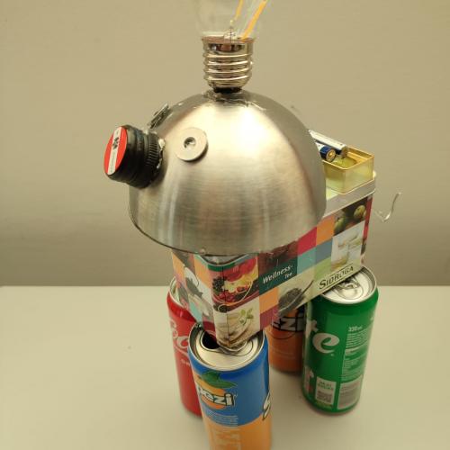 Crazy Robots