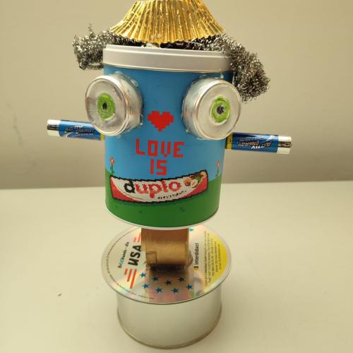 Crazy Robots