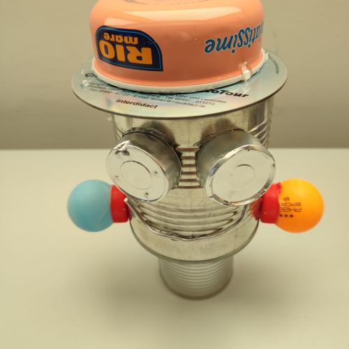 Crazy Robots