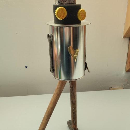 Crazy Robots