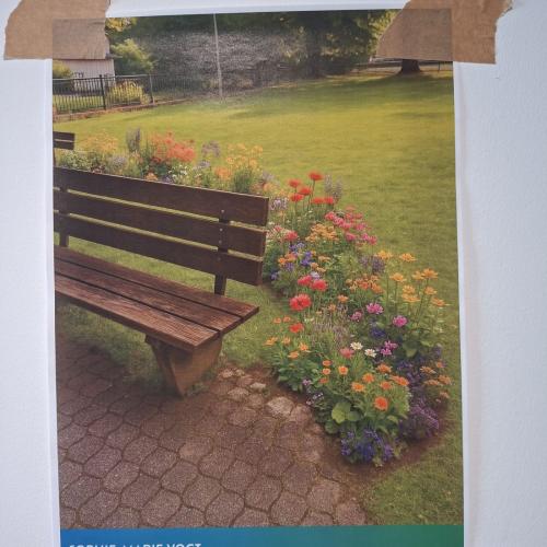 Fotowettbewerb Lebens(t)räume