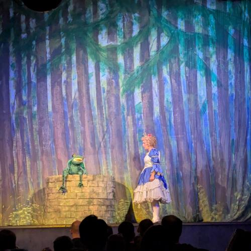 The Frog Prince