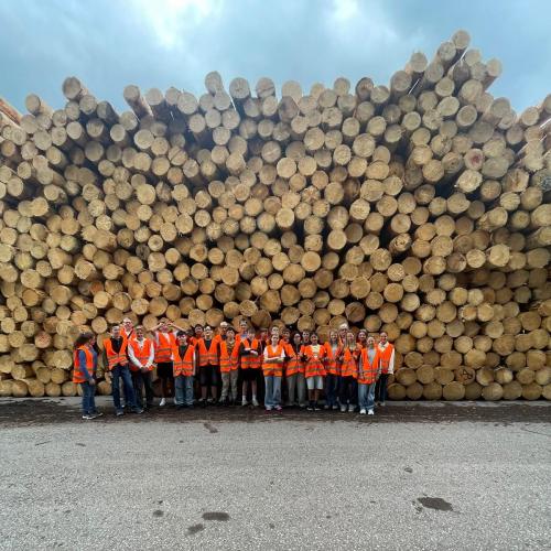 Auf Entdeckungstour in der Arbeitswelt
