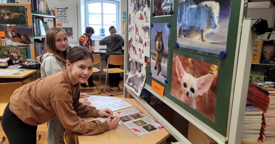 Hund und Wolf_2025
